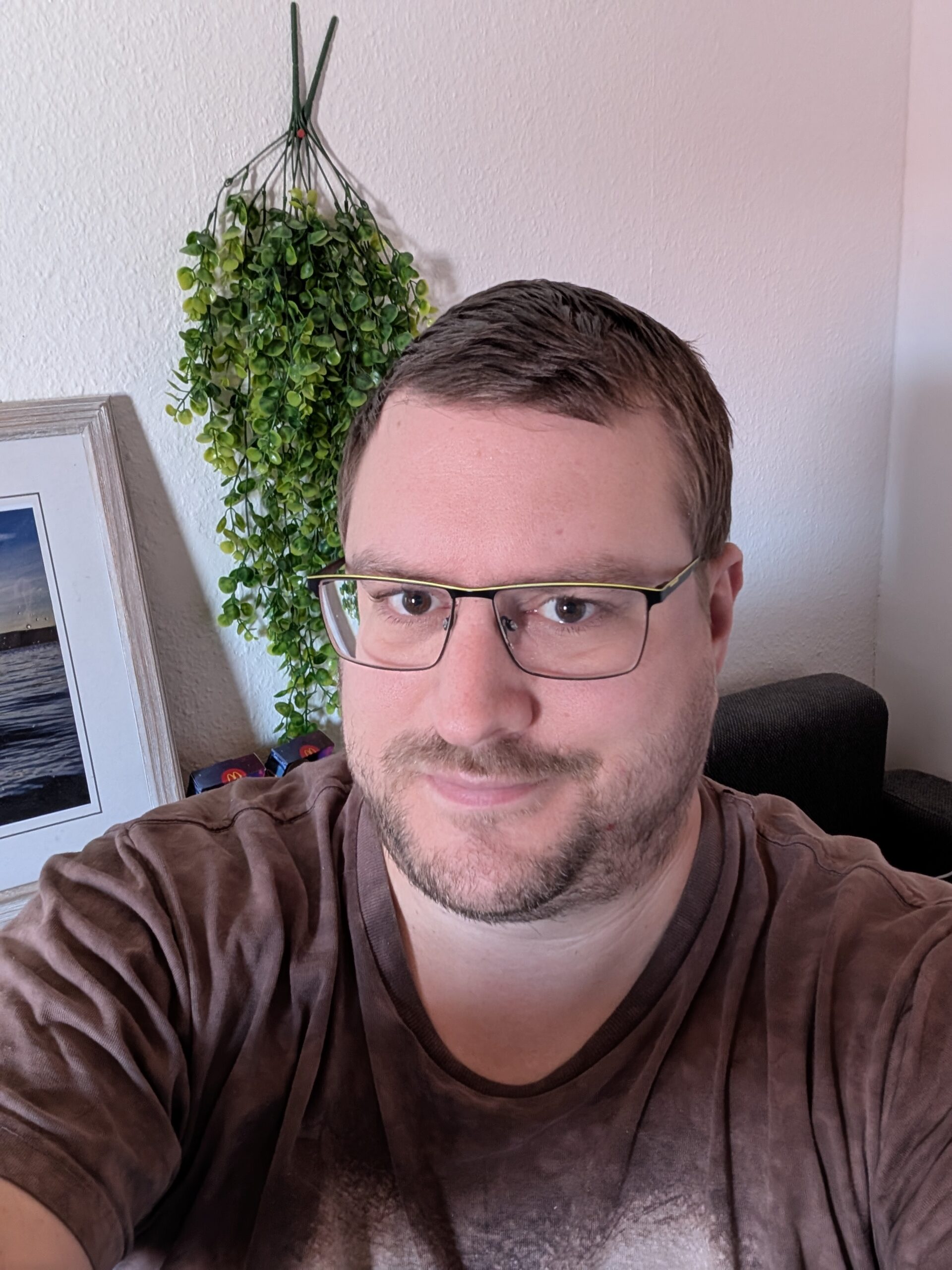 Foto von Robin